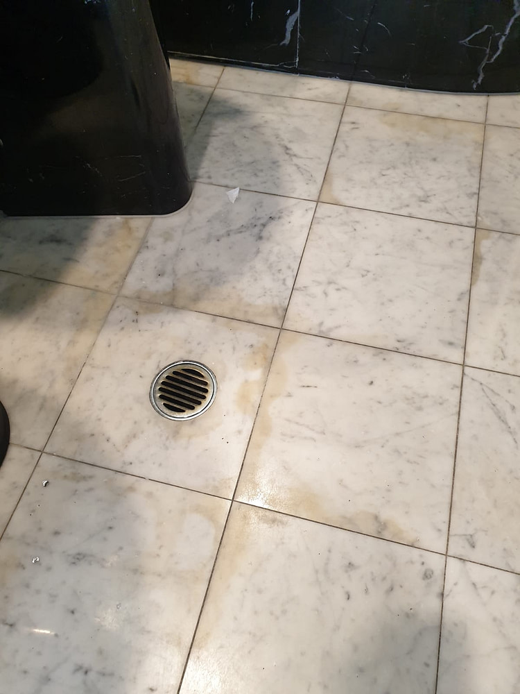 carrara marble remove stain clean seal Zanzibar Apt Mooloolaba (2) Nu Stone Care Carrara Marble